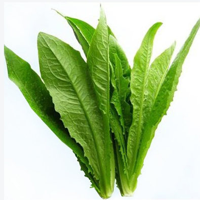 油(you)麥(mai)菜(cai)