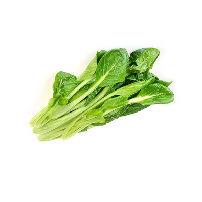 日(ri)本芥(jie)菜